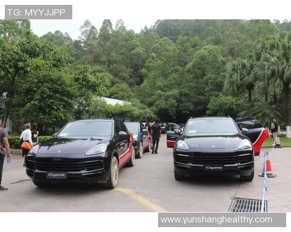 足球足球库全方位解析全球足球动态与精彩赛事回顾