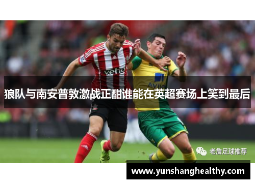 狼队与南安普敦激战正酣谁能在英超赛场上笑到最后
