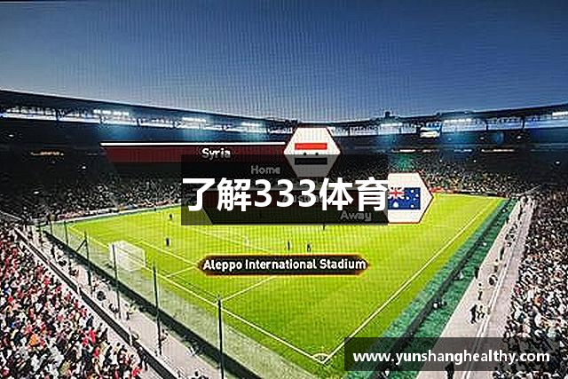 了解333体育